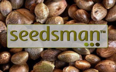 Seedsman Review 2023 | Are They A Trusted Seed Bank?
