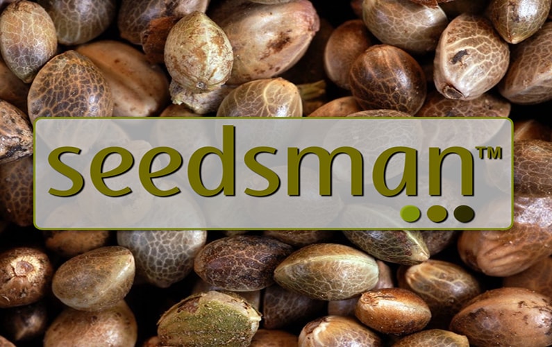Seedsman Review by The Marijuana Consumer