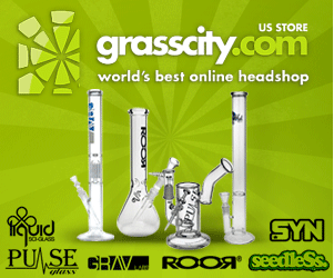 Grasscity is the world's best online headshop.