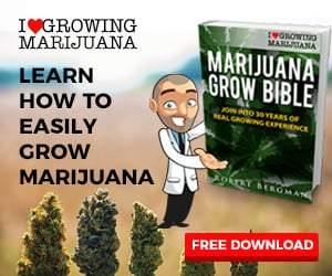 Get the free Marijuana Grow Bible From I Love Growing Marijuana. | themarijauanaconsumer.com