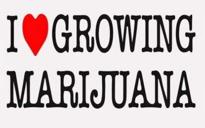 I Love Growing Marijuana Review (2024)