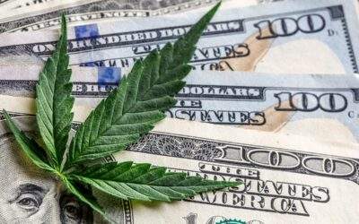 How to Start a Highly Profitable Cannabis Blog | Step-by-Step Guide