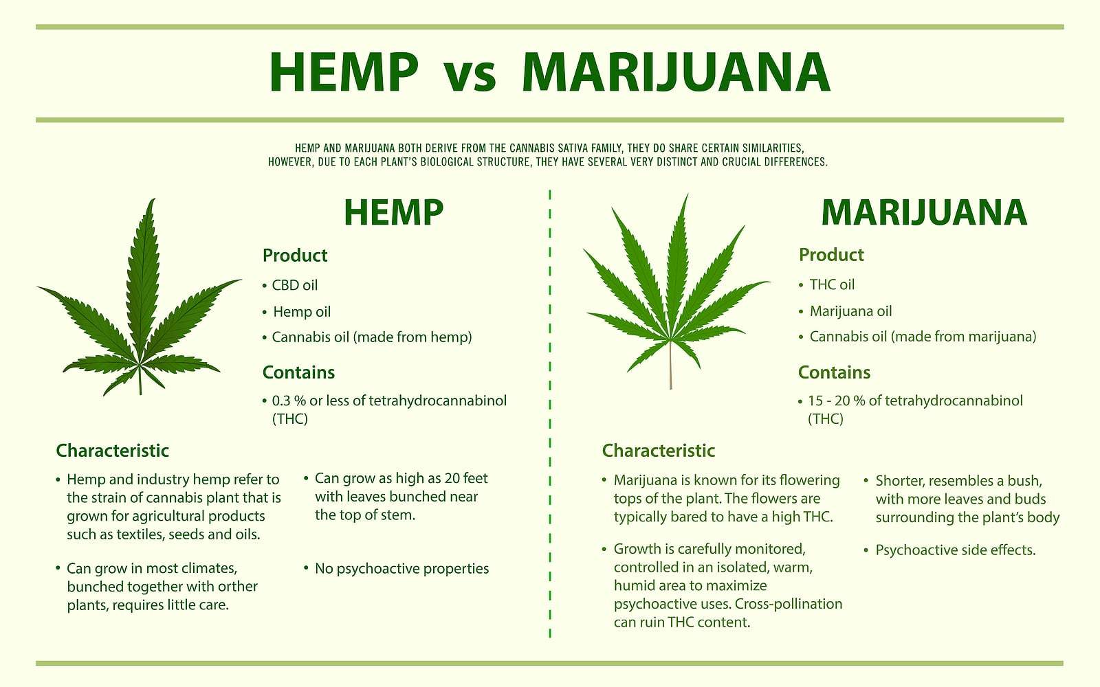 The difference between hemp and marijuana.