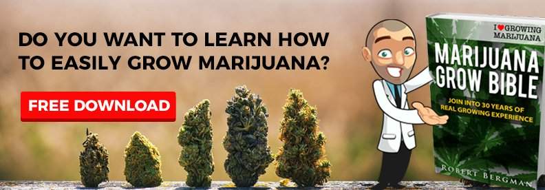 Request a free Marijuana Grow Bible from I Love Growing Marijuana.