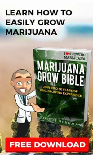 ILGM free Marijuana Grow Bible