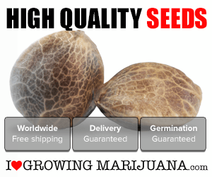 The I Love Growing Marijuana Website.