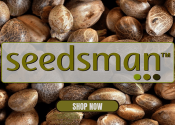 Buy Seedsman cannabis seeds online.