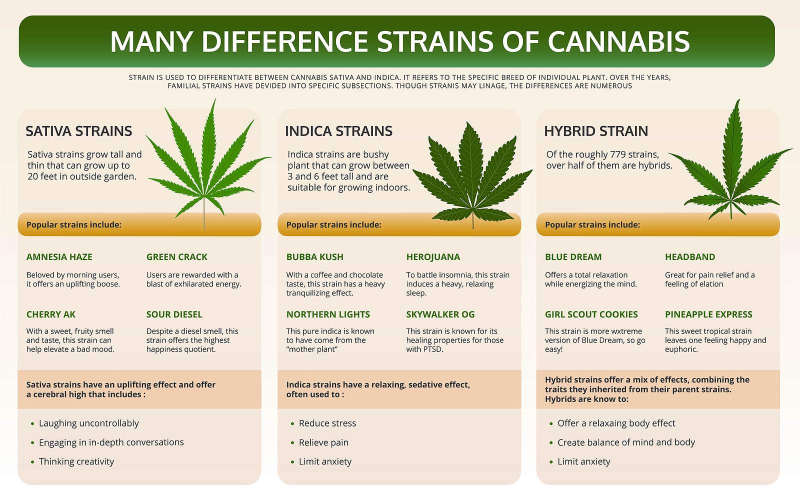 The many different strains of cannabis.