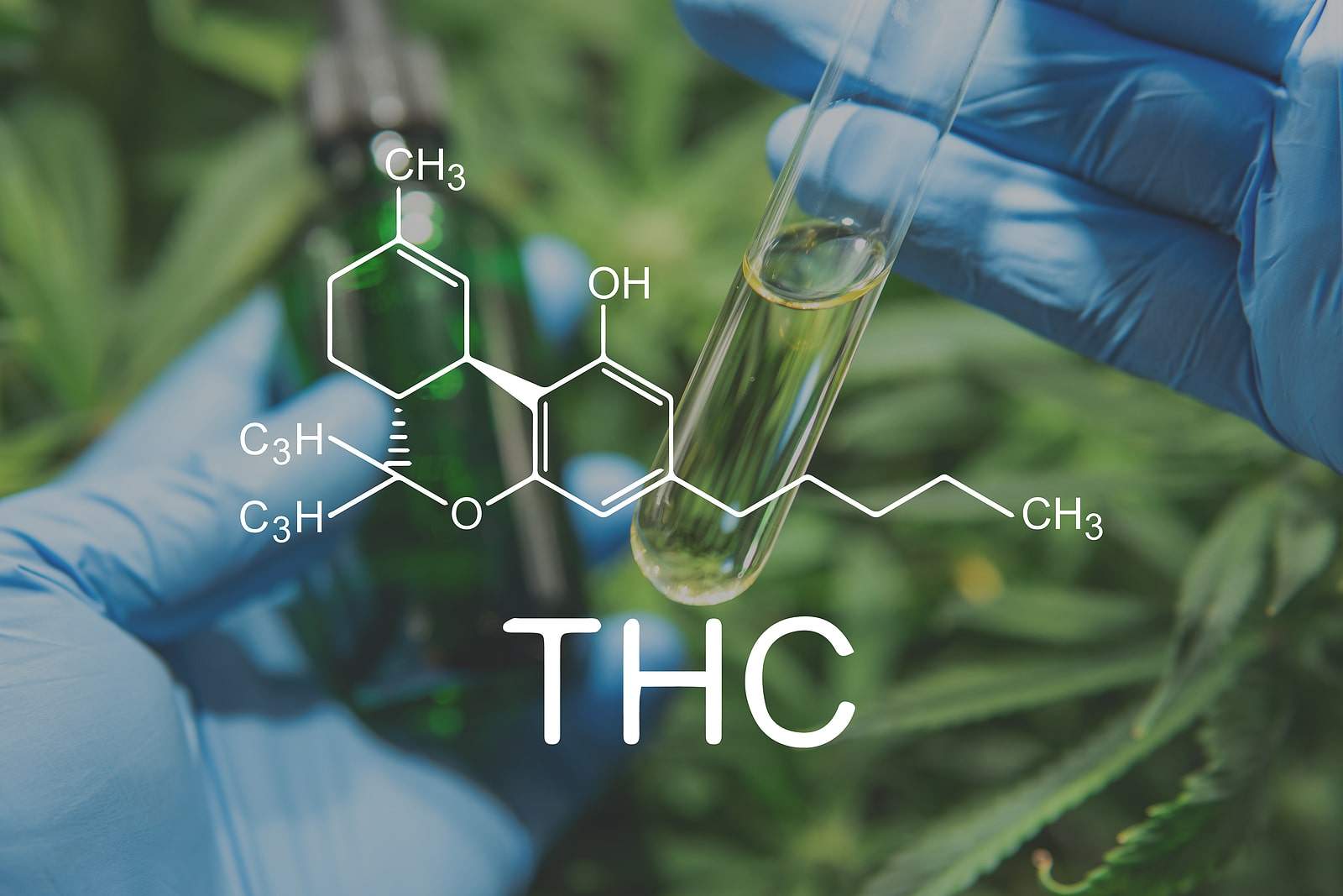 What are marijuana cannabinoids?