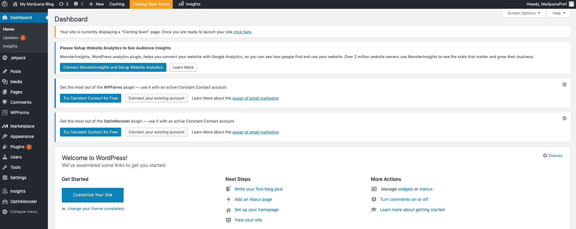 The WordPress dashboard for your new cannabis blog.