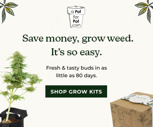 Save money, grow weed. It's so easy.