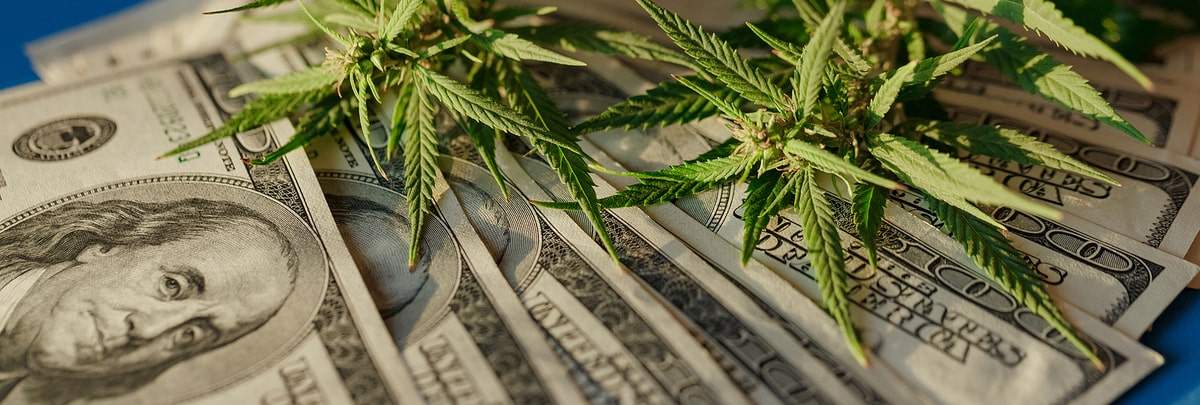 Monetize your marijuana blog with the best high profitable cannabis affiliate links.