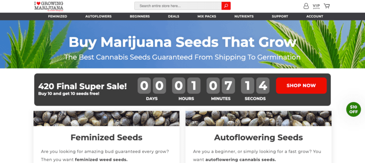 The I Love Growing Marijuana homepage has an affiliate program link in the footer.