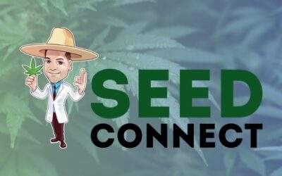 The Seed Connect Review: Buy Cannabis Seeds Safely in the U.S.