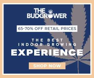 The Best Indoor Cannabis Kits By The Bud Grower.