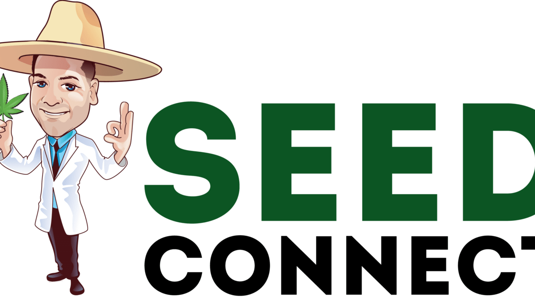 The Seed Connect | Buy Marijuana Seeds Safely in the USA