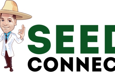The Seed Connect | Buy Marijuana Seeds Safely in the USA