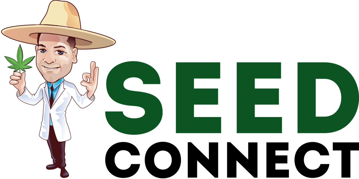 The Seed Connect review by the Marijuana Consumer.