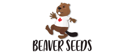 Beaver Seeds is one of the best online cannabis seed banks.