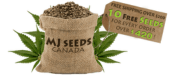 MJ Seeds Canada is one of the best cannabis seed banks online to buy marijuana seeds discreetly.