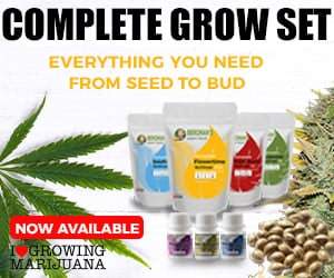 Complete grow kits from ILGM.