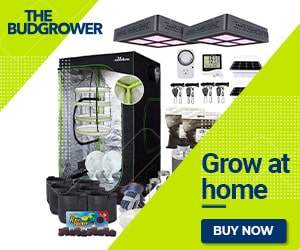 Grow your own with a Bud Grower home growing kit.