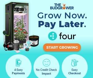 The Bud Grower offers grow now, pay later.