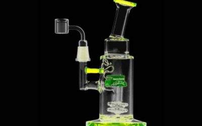 Cheech & Chong Showerhead Perc Dab Rig Review