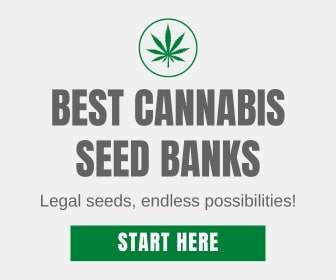 The best legal online cannabis seed banks.