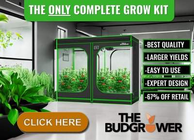 The best indoor grow kits for beginners and advanced growers.