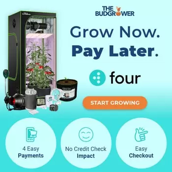 Grow now, pay later with The Bud Grower indoor grow kits.