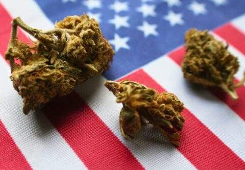 weed sites to order from