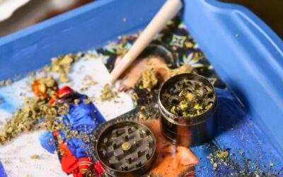 How to Grind Weed for Smoking | Beginner’s Guide