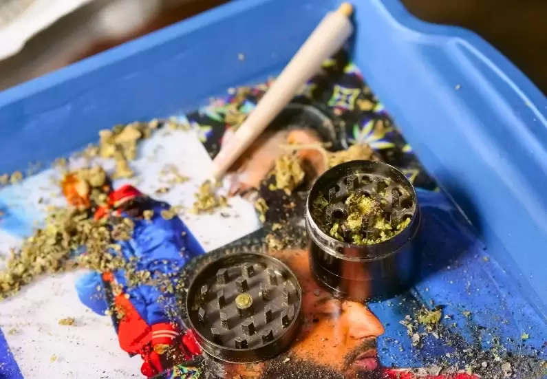 A close-up of freshly ground cannabis on a tray, with a grinder and freshly rolled joint nearby.