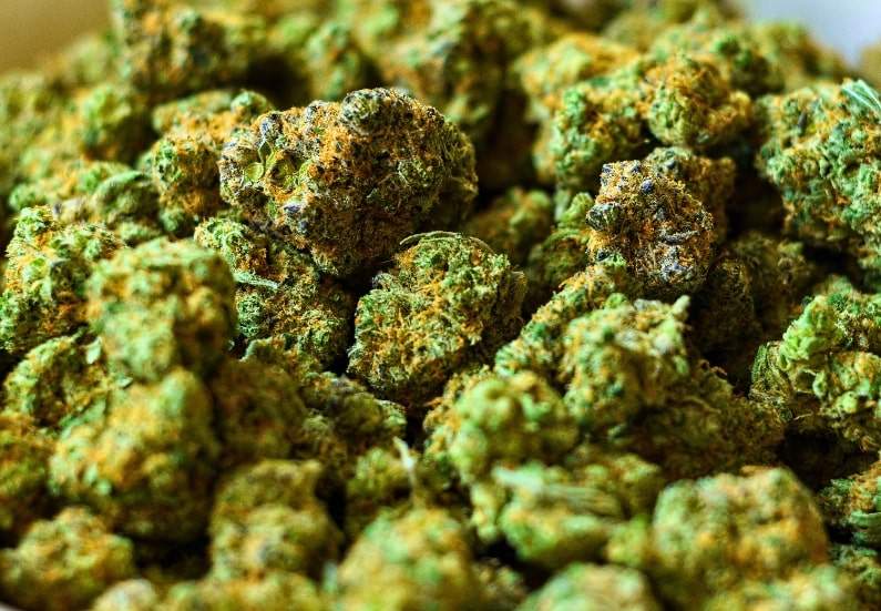 Top 10 Most Potent Sativa Strains That Will Blow Your Mind