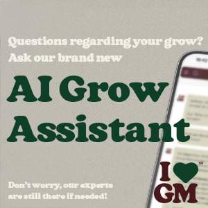 ILGM AI Grow Assistant, a digital tool for cannabis growers seeking expert guidance.