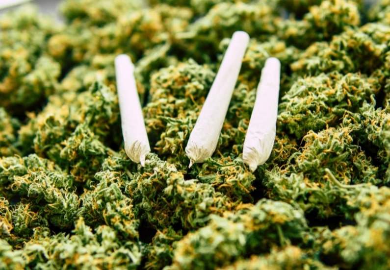 Joints and cannabis strains that are good for beginners.