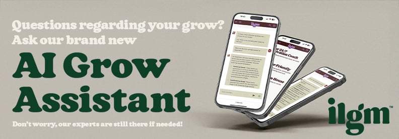 ILGM AI Grow Assistant displayed on mobile devices, offering real-time cannabis cultivation advice.