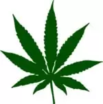 The Marijuana Consumer Cannabis Leaf Icon.