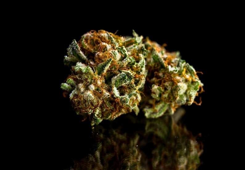 Top 10 Most Popular Indica Cannabis Strains