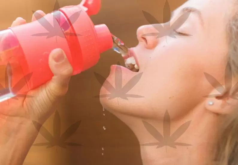 10 Proven Ways to Cure Cotton Mouth When Smoking Marijuana (And Fix It Fast)
