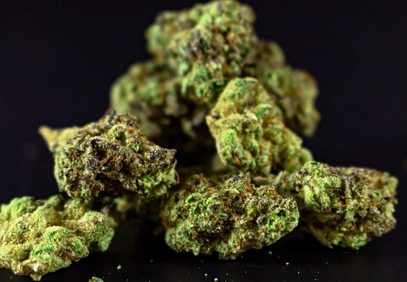 op Hybrid Cannabis Strains. Close-up of vibrant hybrid cannabis buds with trichomes and colorful leaves.