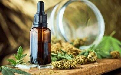 Understanding THC vs. CBD: What’s the Difference?